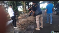 Polisi Grebek Lokasi Sabung Ayam di Sukadamai Sergai